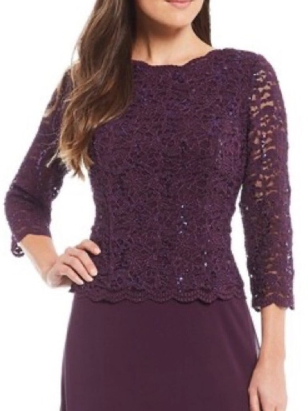 NWT Alex Evenings 3/4 Sleeve Sequined Lace Bodice Chiffon Deep Plum Gown. Sz 12